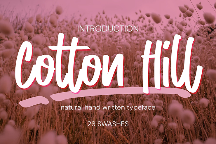 Cotton Hill字体 1