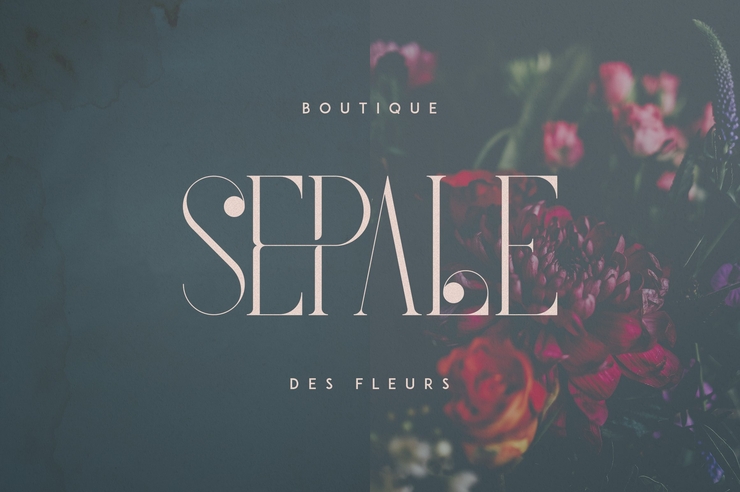 French Serif字体 2