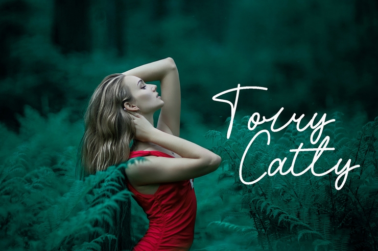 Saint Roland字体 4