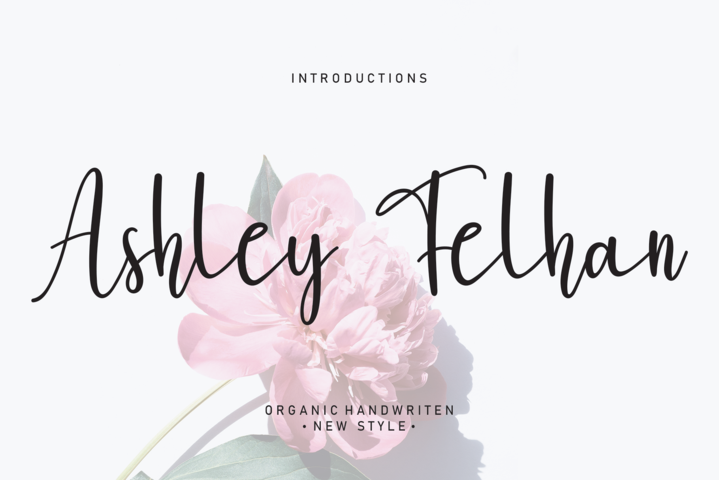 Ashley Felhan字体 3
