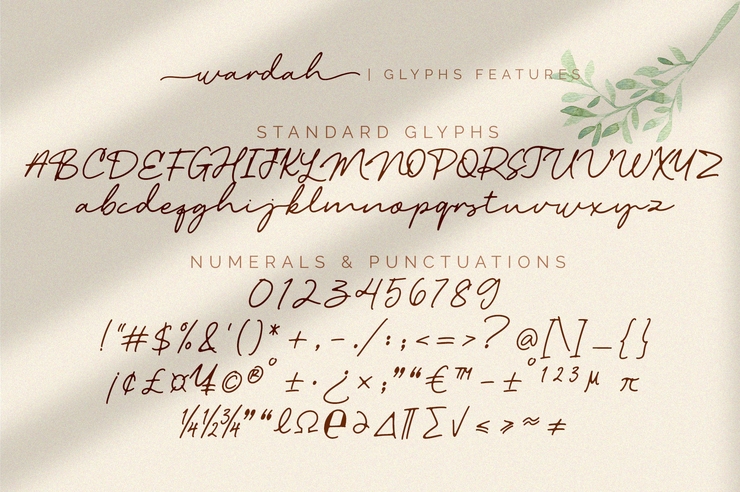Wardah字体 3