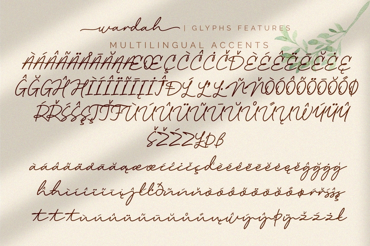 Wardah字体 5
