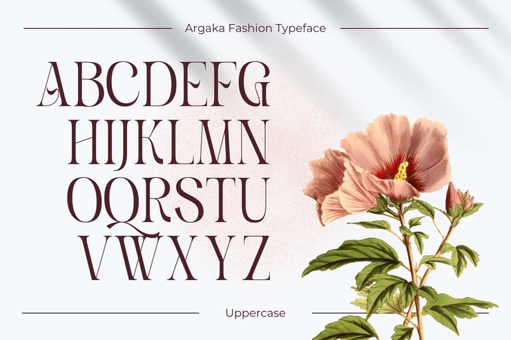 Argaka Fashion字体 9