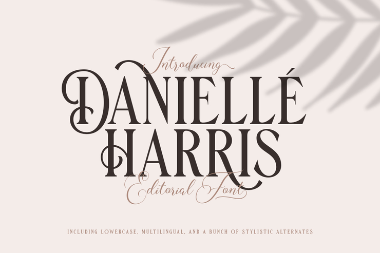 Danielle Harris字体 1