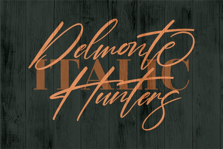 Delmonte Hunters字体 5