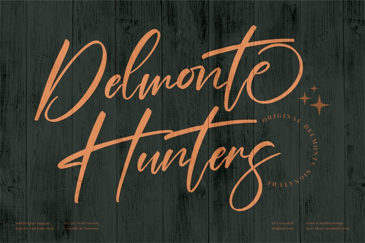 Delmonte Hunters字体 10