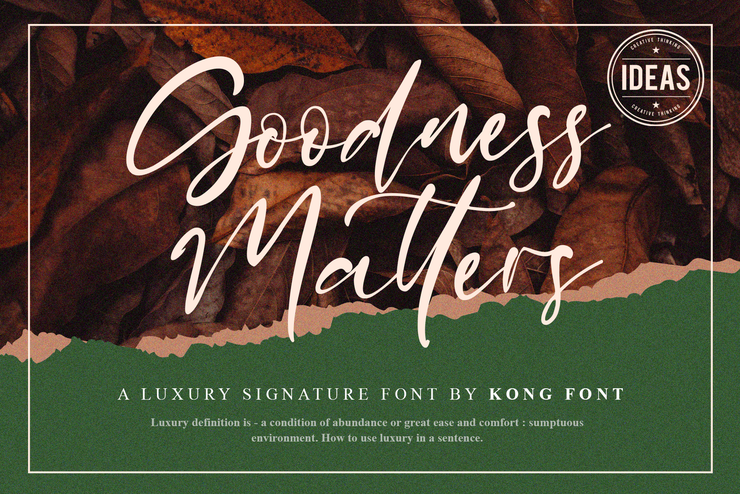 Goodness Matters字体 1