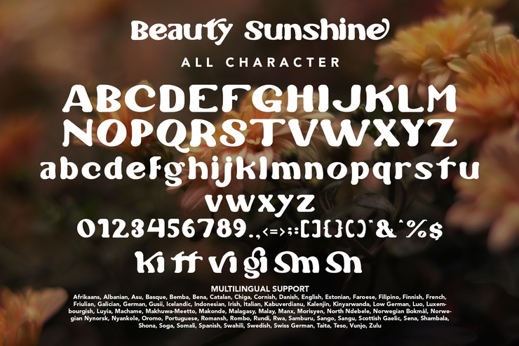Beauty Sunshine字体 3