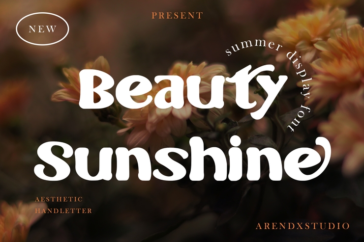 Beauty Sunshine字体 9