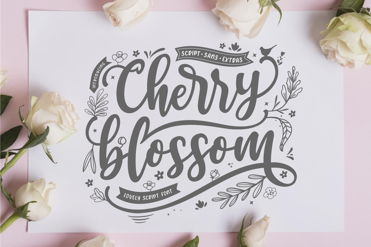 Cherry Blossom Script字体 4