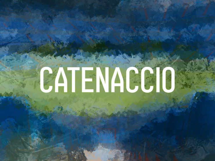 c Catenaccio字体 1