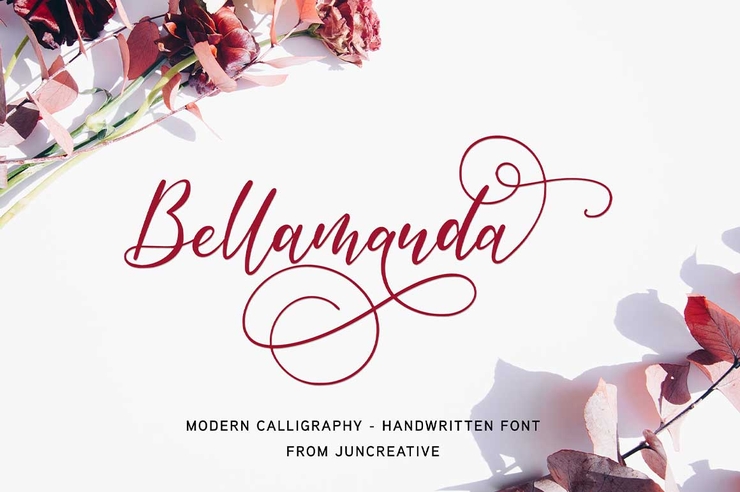 Bellamanda字体 2
