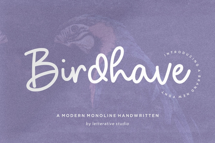 Birdhave字体 1