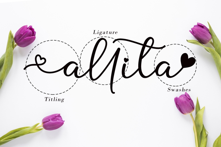 Sweet Allita字体 4