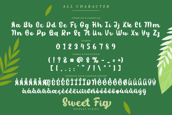 Sweet Fig字体 1