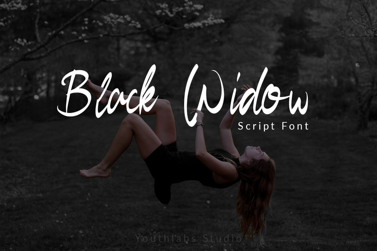 Black Widow字体 7