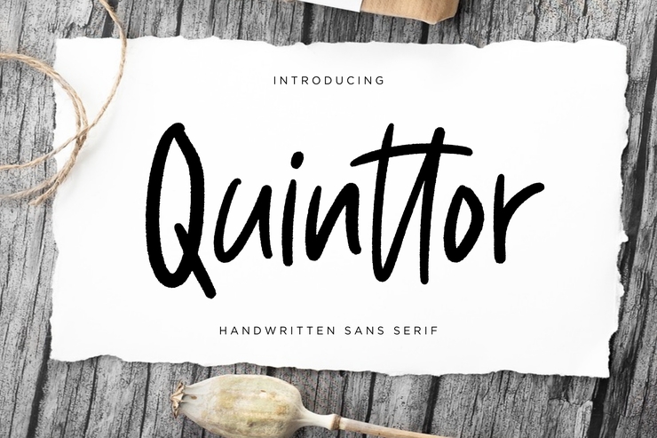 Quinttor Sans Serif字体 1