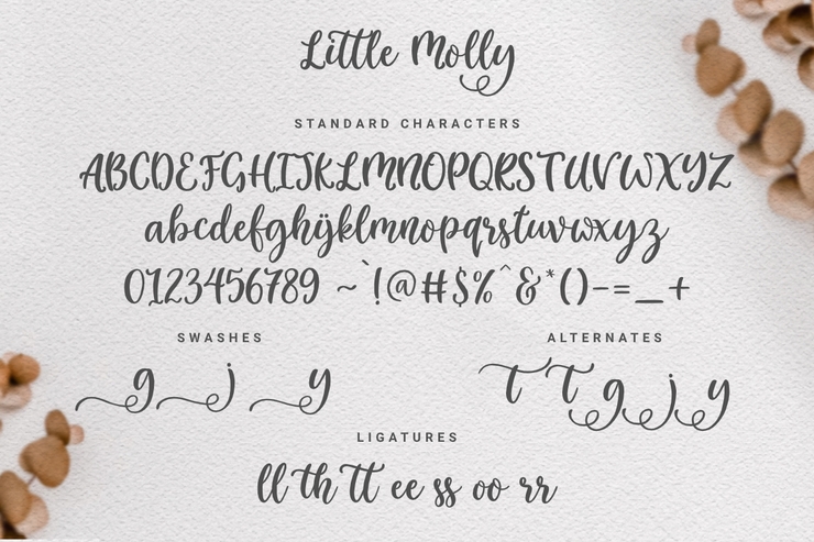 Little Molly字体 2