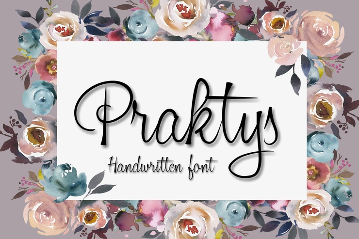 Praktys字体 2