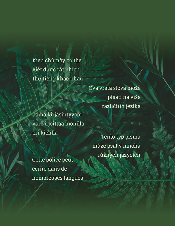 Robika字体 2