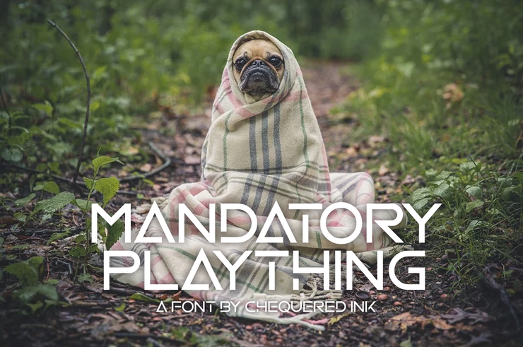 Mandatory Plaything字体 2