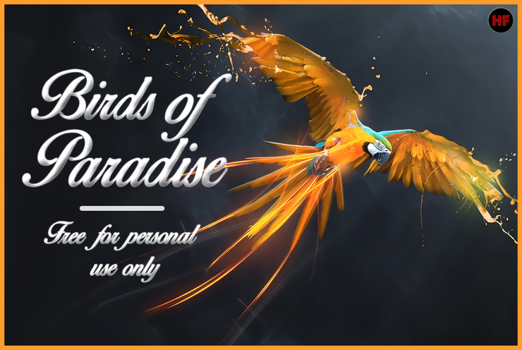 Birds of Paradise字体 1