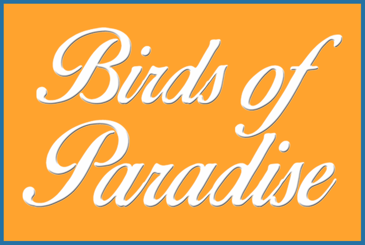 Birds of Paradise字体 2