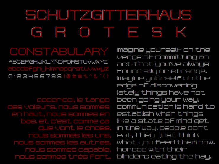 Schutzgitterhaus-Grotesk NBP字体 1
