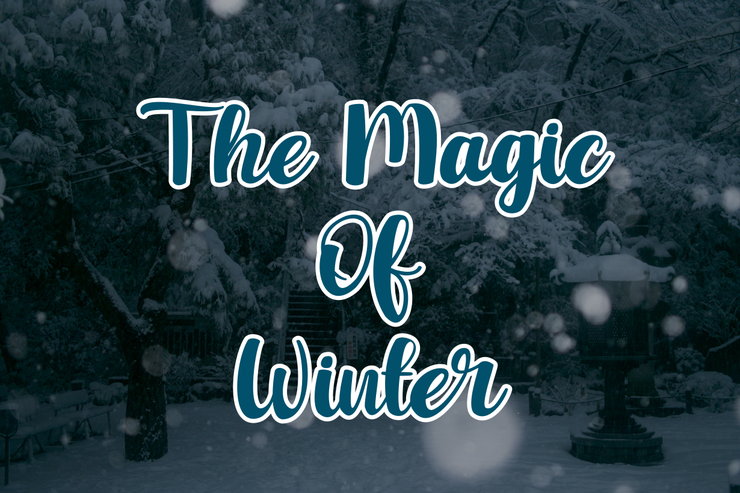 Winter Yesterday字体 3