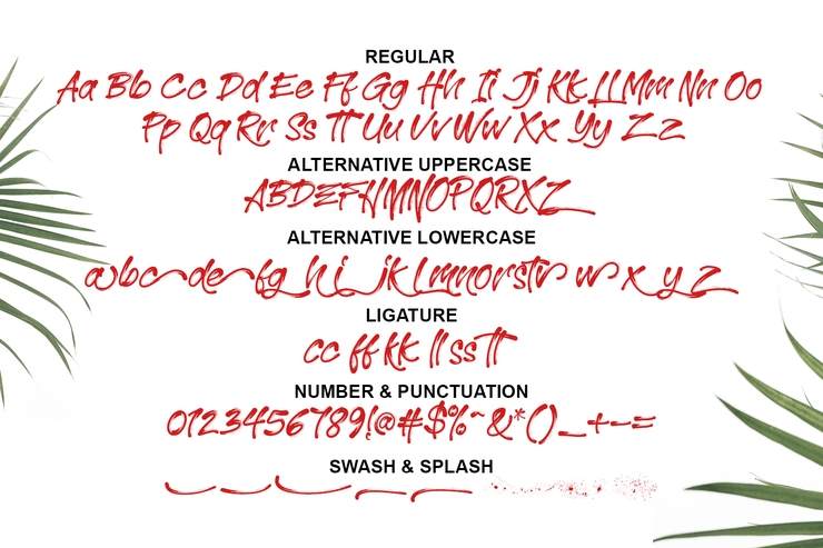 Roman Morrissey字体 2