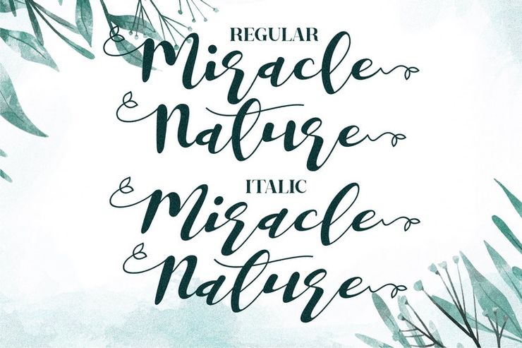 Miracle Nature字体 8