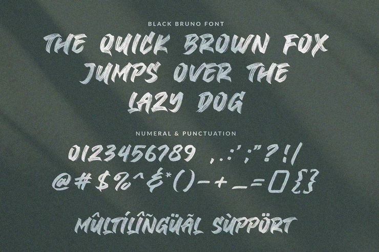 Black Bruno字体 6