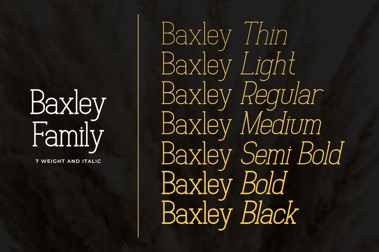 Baxley字体 2