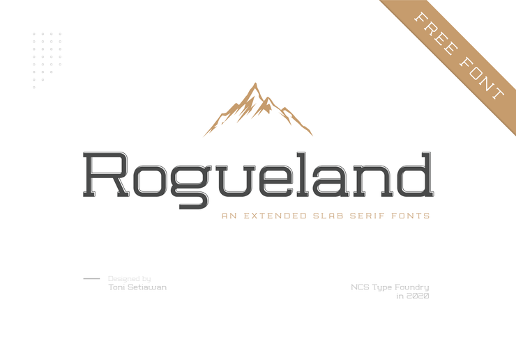 NCS Rogueland Slab字体 5
