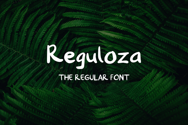 Reguloza字体 3