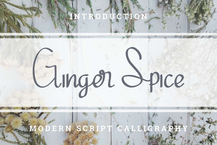 Ginger Spice字体 1