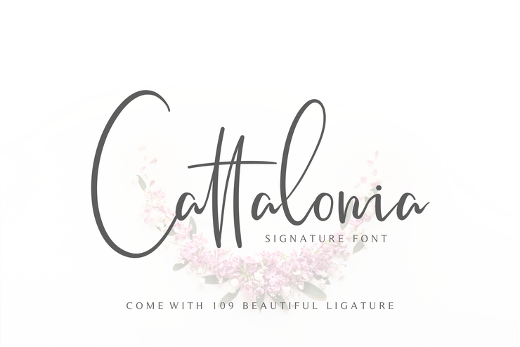 Cattalonia字体 1