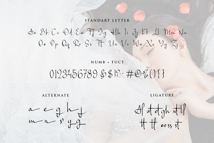 Alayna Hughes字体 9