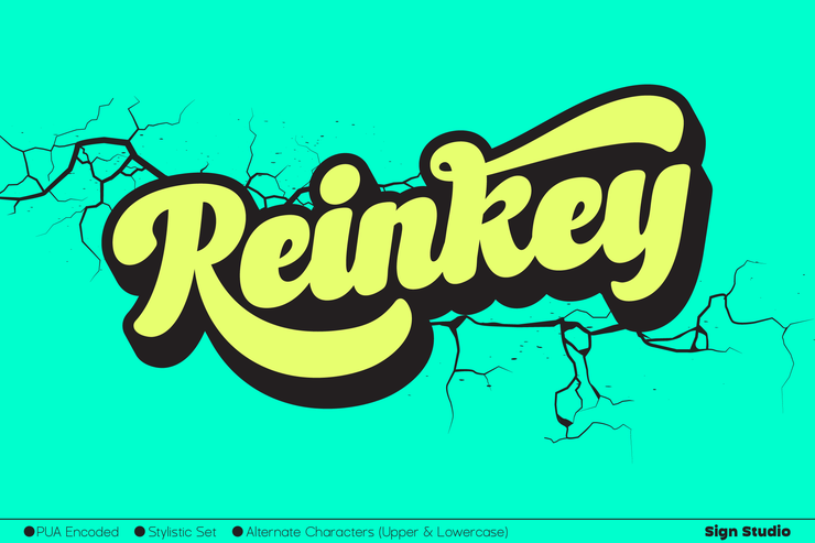 Reinkey字体 9