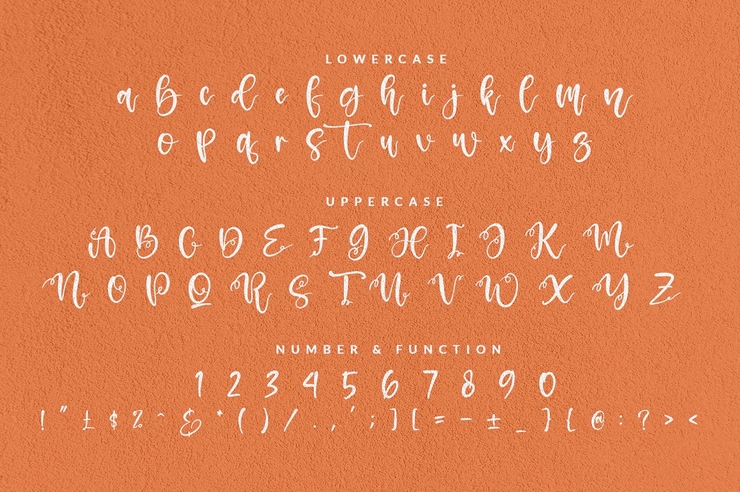 Amselia Parselia字体 2