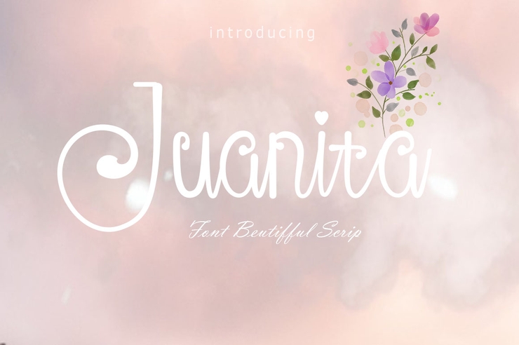 Juanita字体 1