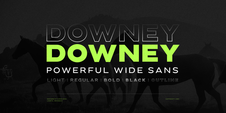 Downey字体 1
