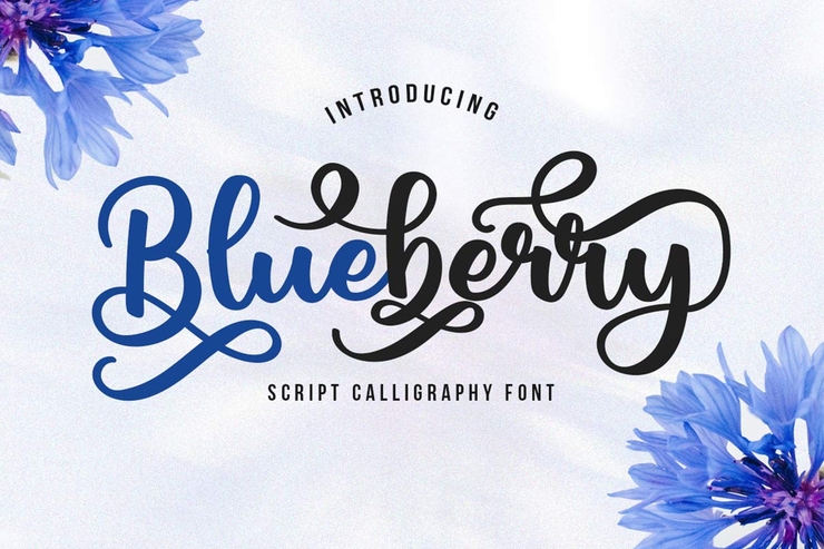Blueberry字体 3