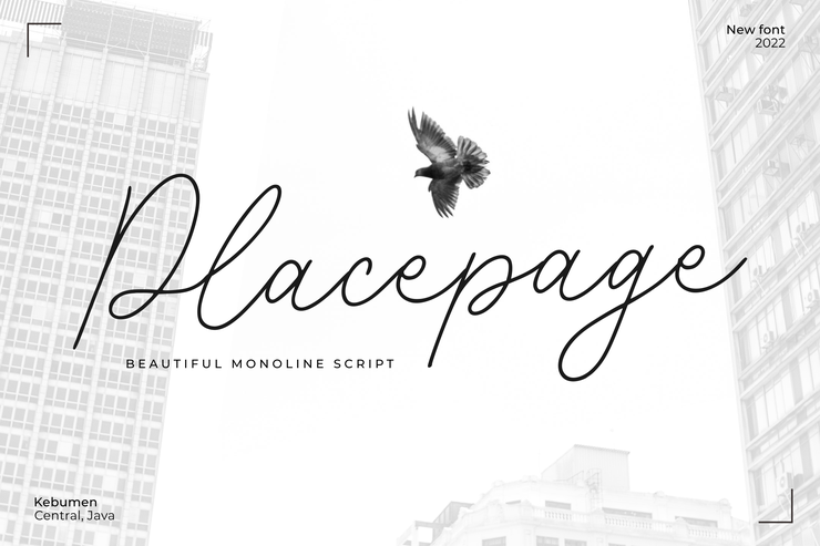 Placepage字体 4