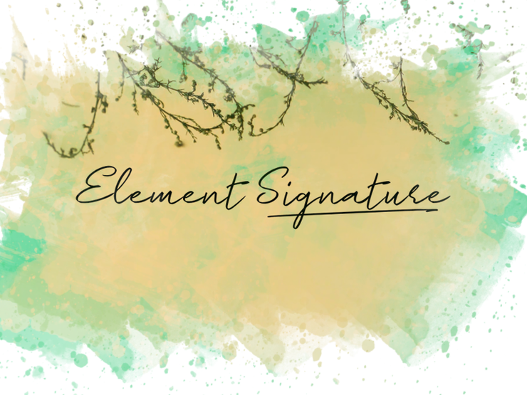 e Element Signature字体 1