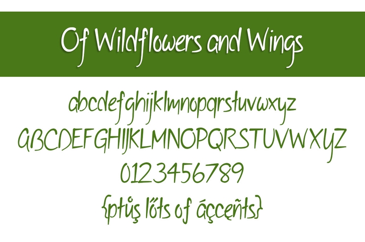 Of Wildflowers and Wings字体 2