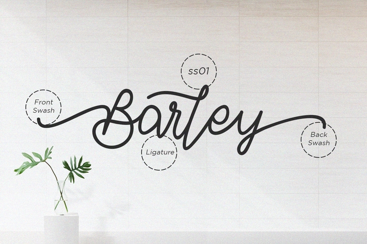 Barley字体 1