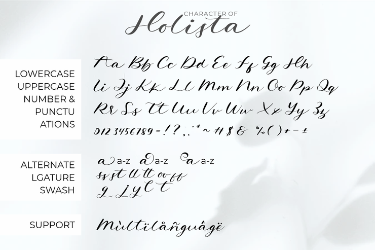 Holista字体 7