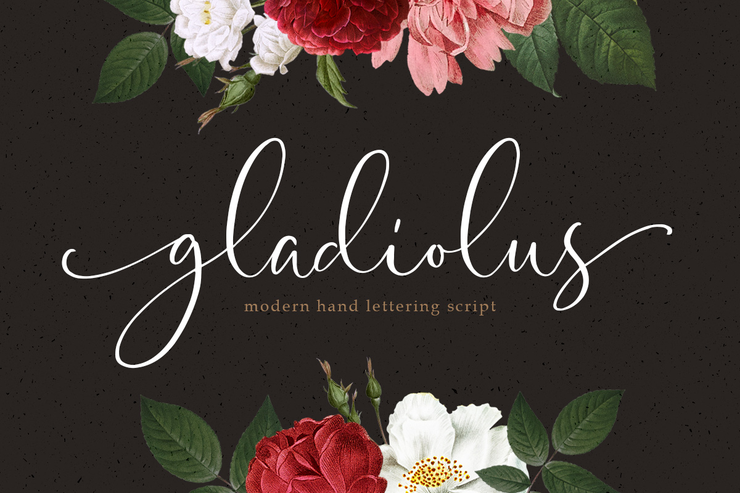 Gladiolus Script字体 1