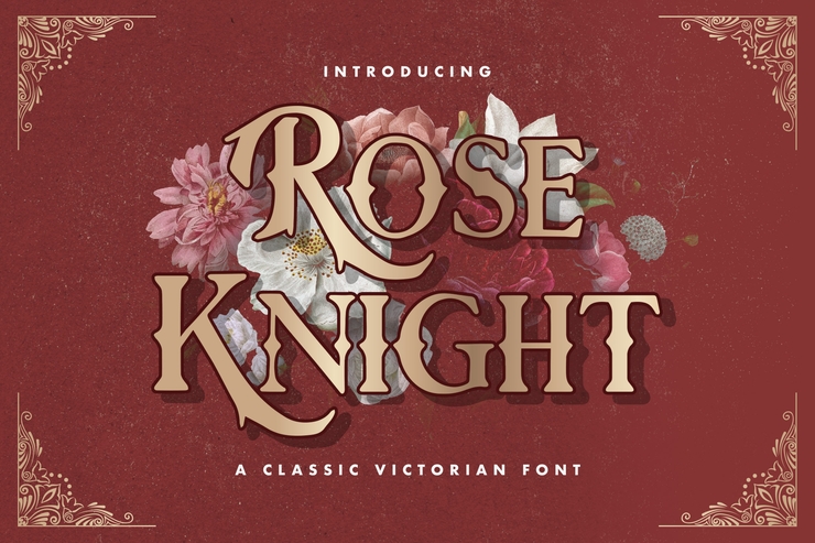Rose Knight字体 7